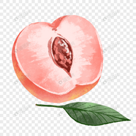 9·1安装免费版APP应用